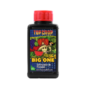 Bioestimulante Big One 100ml