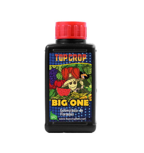 Bioestimulante Big One 100ml