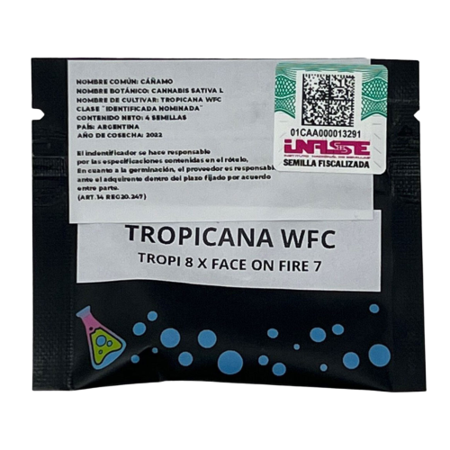 Tropicana WFC x4 unidades