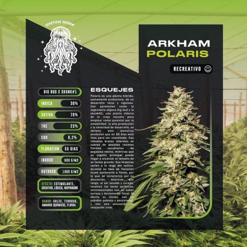 Esqueje Polaris Sativa