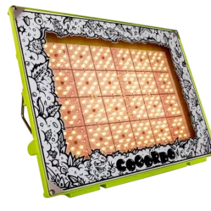 Cogordo P1000 Growtech