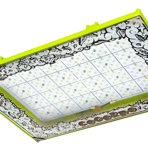 Cogordo P800 Growtech