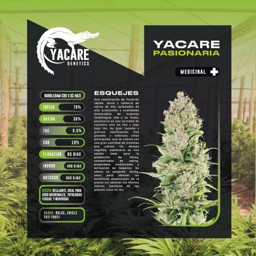 Yacaré Pasionaria CBD