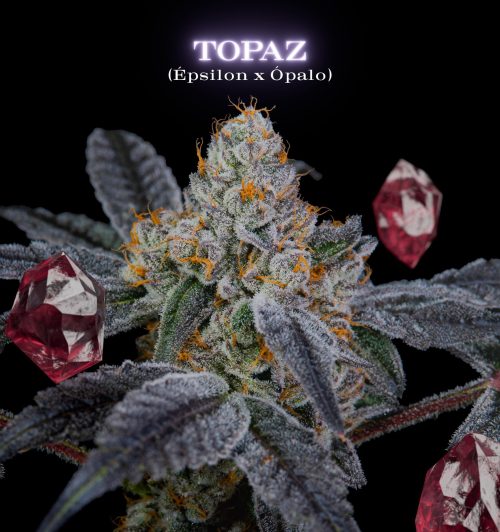 Topaz SecretFile Foto Fem x4