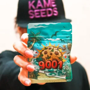 9001 Kame Seeds FotoFem x3