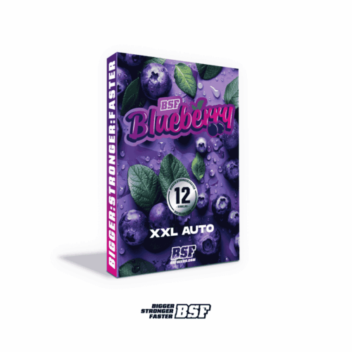 Blueberry XXL Auto BSF x12
