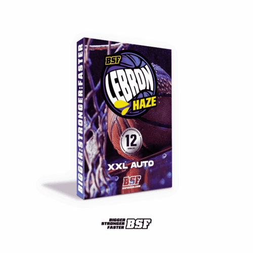 Lebron Haze XXL Auto BSF x12