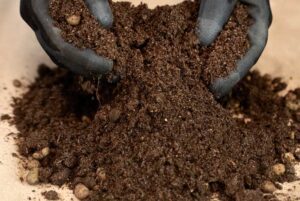 Guano de conejo Loco Organic 10L