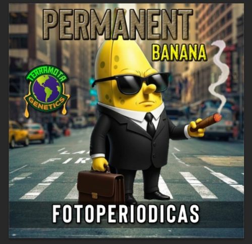 Permanet Banana FotoFem Terramota 3+2