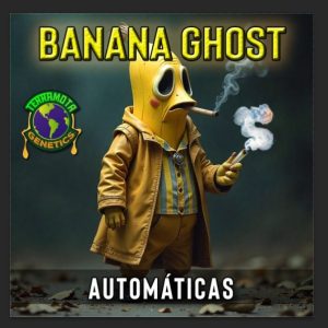 Banana Ghost Auto Terramota 3+2
