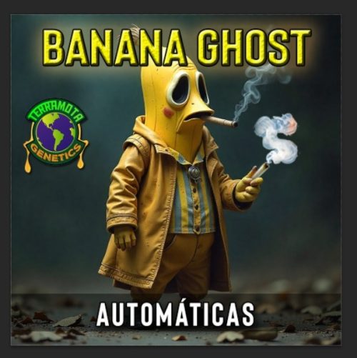 Banana Ghost Auto Terramota 3+2
