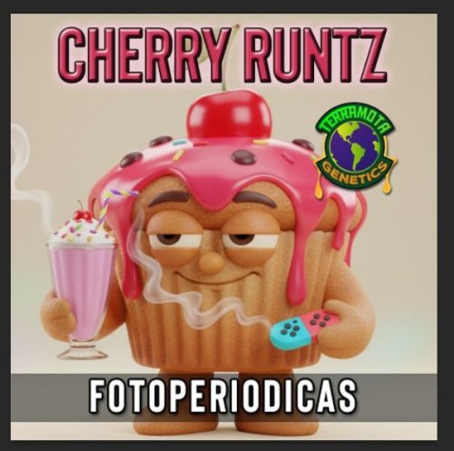 Cherry Runtz Foto Fem Terramota 3+2
