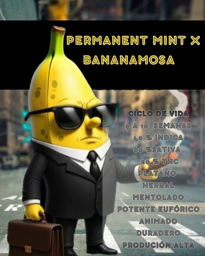 Permanet Banana FotoFem Terramota 3+2
