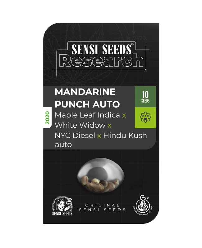 Mandarine Punch Auto Sensi Seeds x3