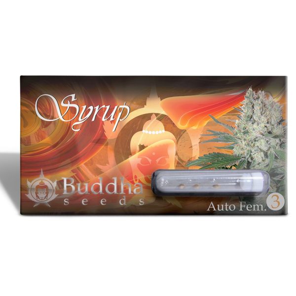 Syrup Auto Buddha Seeds x3