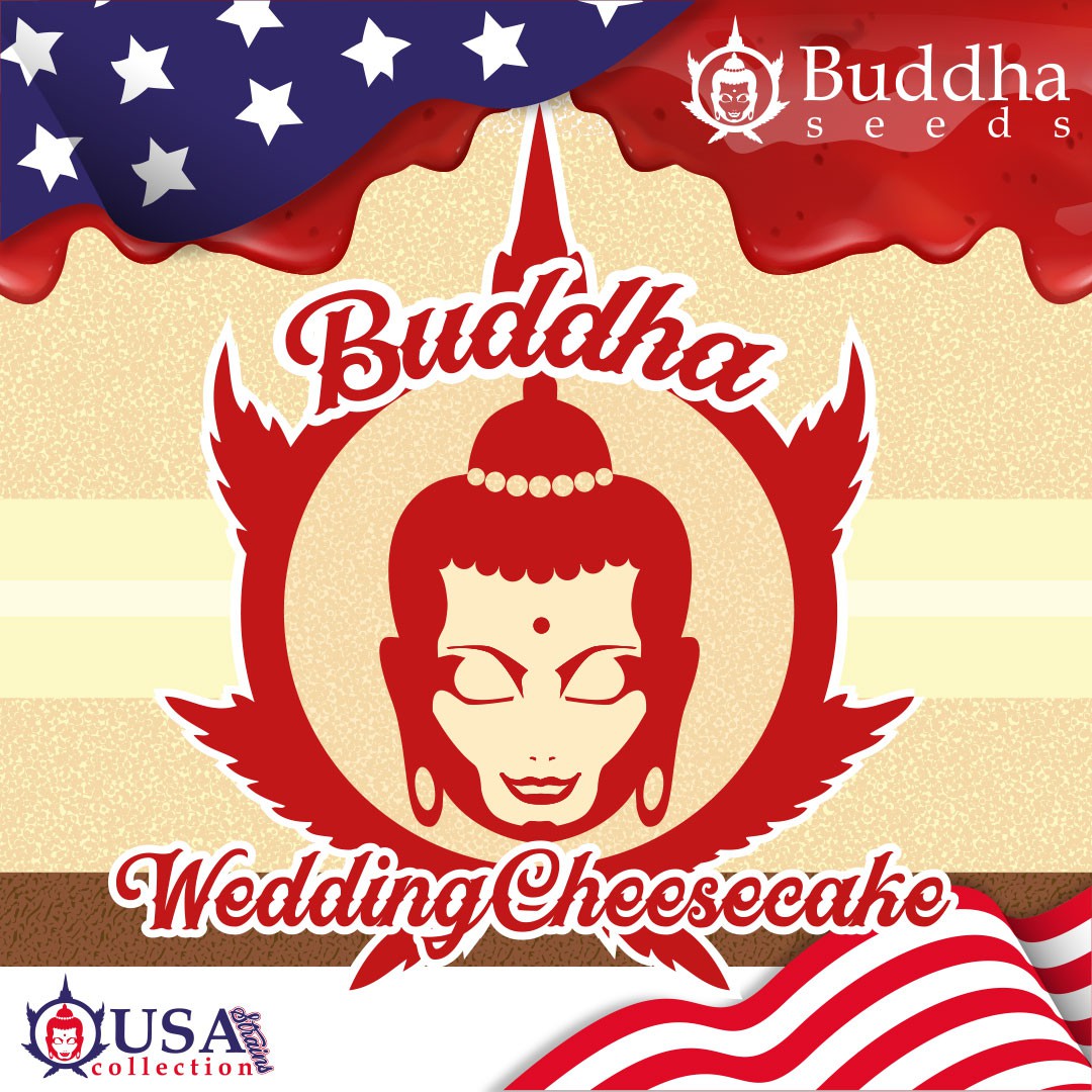 Weeding Cheesecake Foto Buddha Seeds x3