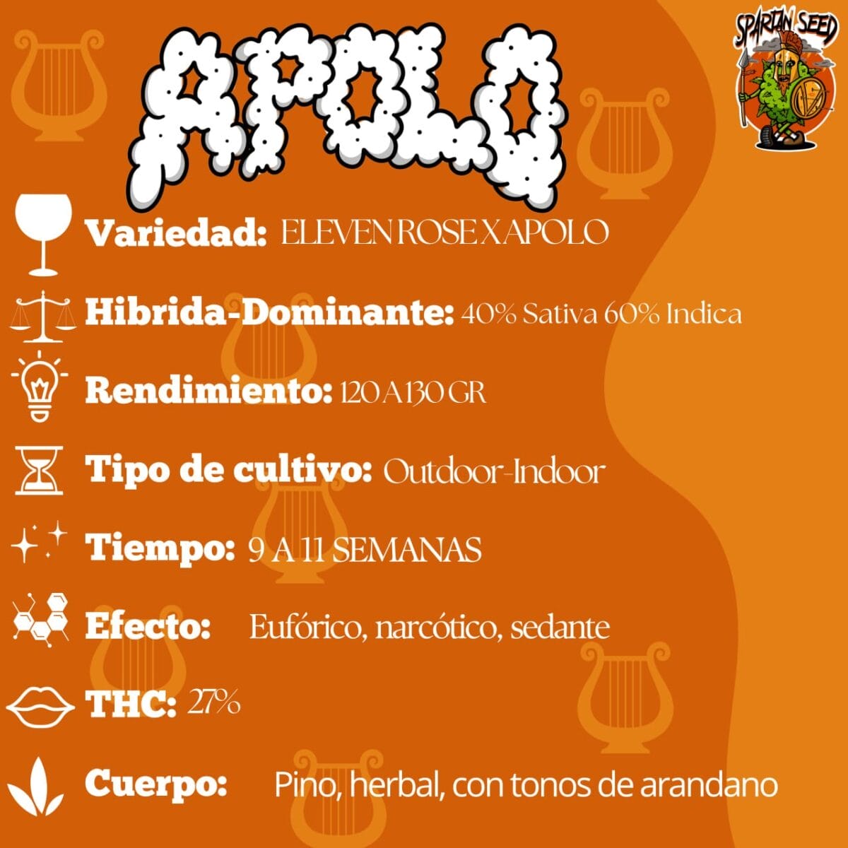 Apolo Spartan Seeds 3+1