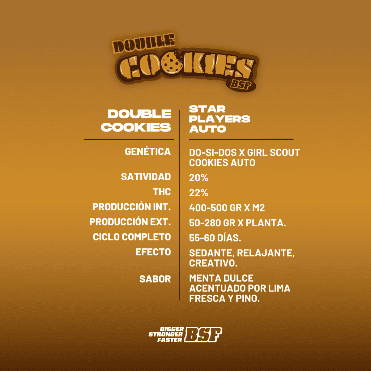 Doble Cookies Auto BSF x2