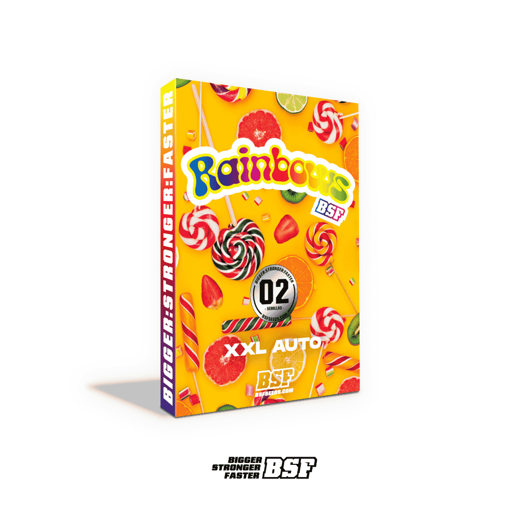 Rainbows XXL Auto BSF x2