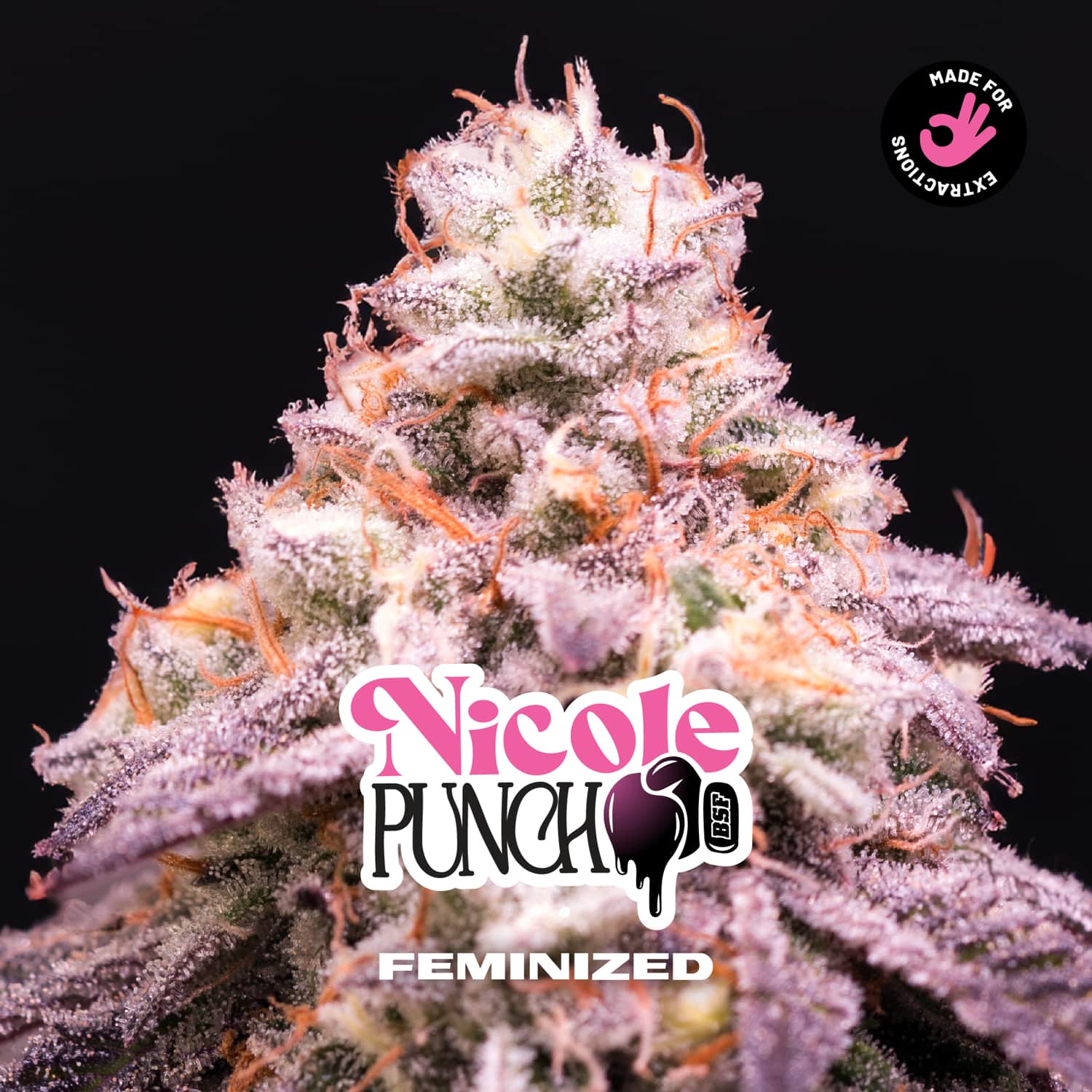 Nicole Punch Fem BSF x2