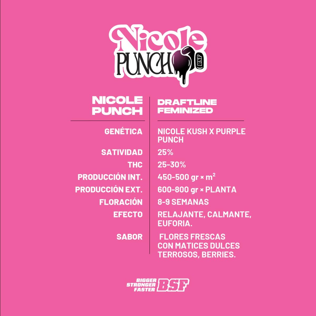 Nicole Punch Fem BSF x2