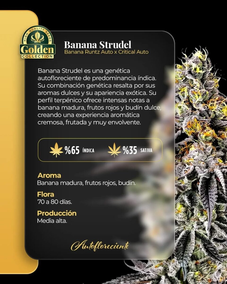 Banana Strudel Auto Golden Collection x3