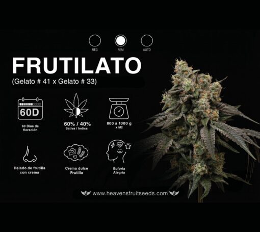 Frutilato Fem Heaven's Fruit x4