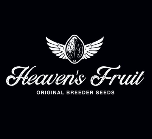 Frutilato Fem Heaven's Fruit x4