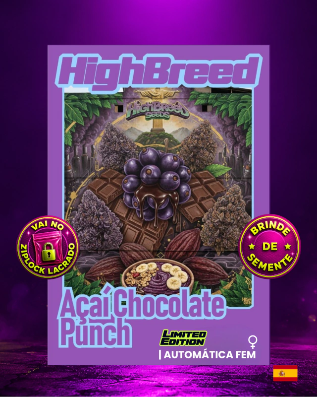 Açai Chocolate Punch Auto x2 Edición Limitada High Breed Seeds