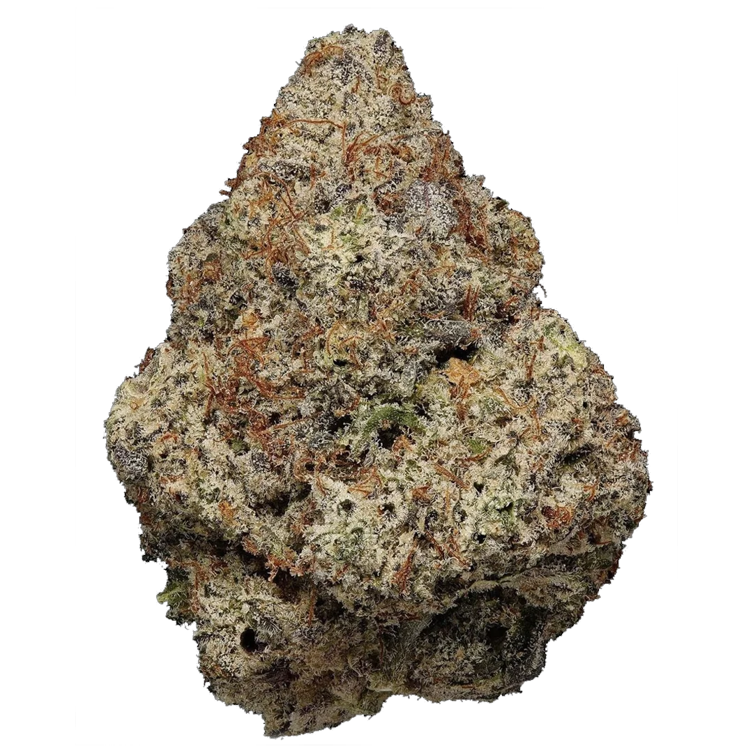 Super Saiyan Runtz Auto x2 High Breed Seeds