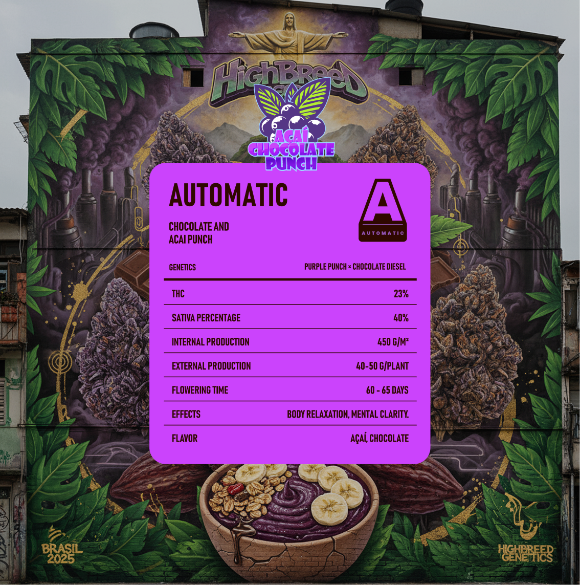 Açai Chocolate Punch Auto x2 Edición Limitada High Breed Seeds