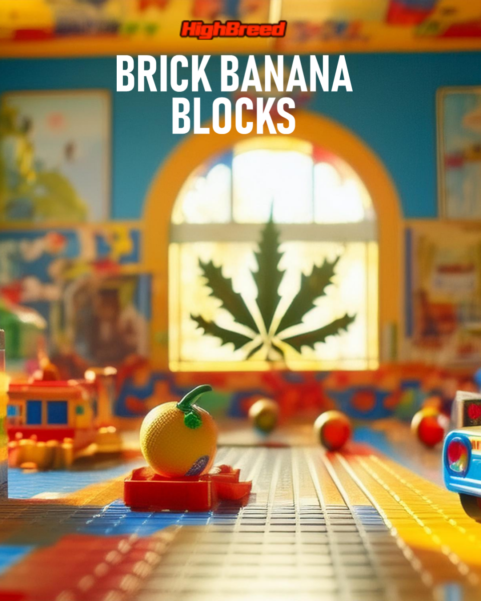 Banana Bricks Auto x2 High Breed Seeds